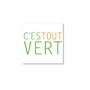 CTVert